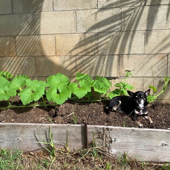 Meet your Posher, Kelcie (Feel Free to Bookmark My Closet) π» - Picture 5 of 5